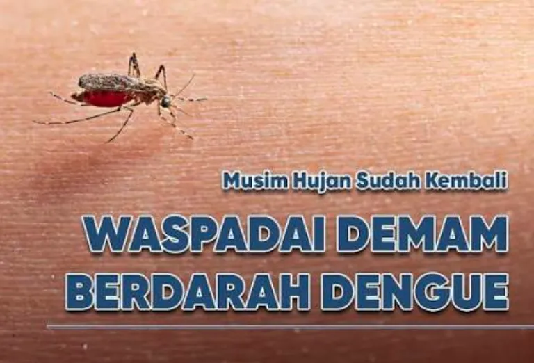DBD musim hujan