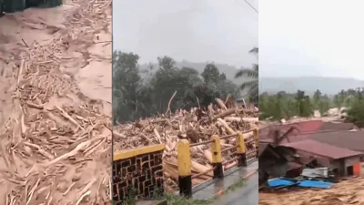 Gelondongan Kayu di Banjir Sumatra: Isu Deforestasi Lokal yang Bergema ke Dunia