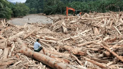 Kayu Gelondongan Sumut: Fenomena Lokal yang Bergema di Ruang Global
