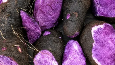 Uwi Ungu, Peluang Indonesia Dalam Ketahanan Pangan Global