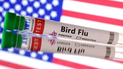 Wabah Flu Burung H5N1 Muncul di Filipina, Puluhan Unggas Dimusnahkan