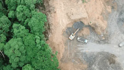 Deforestasi Kalimantan–Papua Meledak: Indonesia Masuk Zona Risiko Tinggi