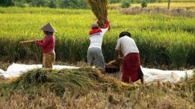Bulog Pastikan Serap Beras Petani Setelah Target 4 Juta Ton Tercapai
