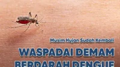 DBD Musim Hujan: Kemenkes Minta Warga Perkuat 3M Plus