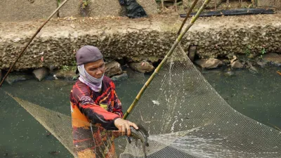 Ikan Sapu-Sapu Banjarbaru Diburu Warga di Sungai Kemuning