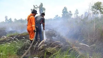 Karhutla Banjarbaru Meluas, Pusat Gelontorkan Dana Rp15 M