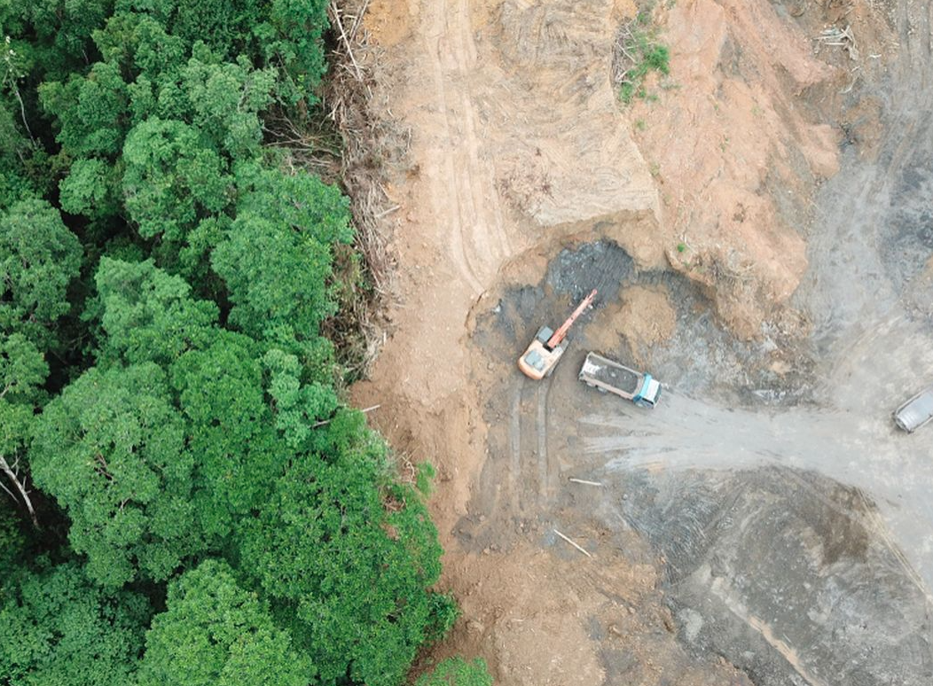 deforestasi di indonesia