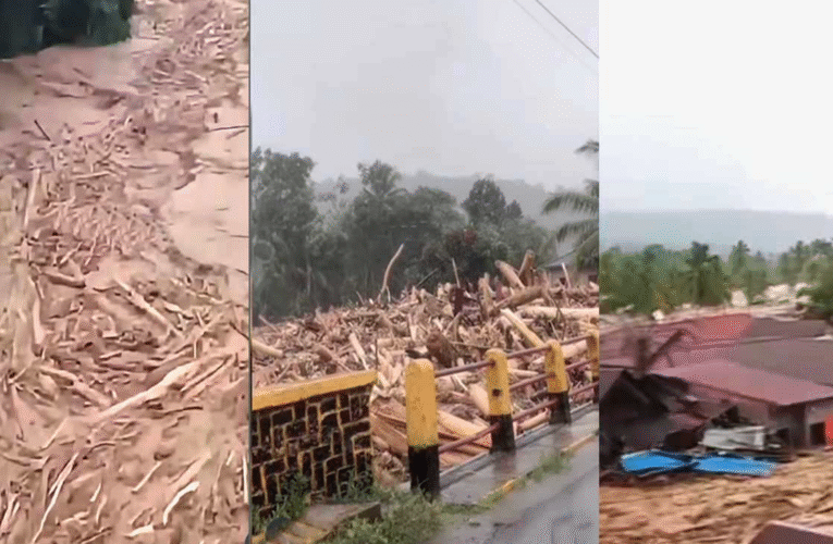 Gelondongan Kayu di Banjir Sumatra: Isu Deforestasi Lokal yang Bergema ke Dunia