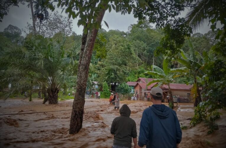 Gelombang Bencana di Sumatera: Angka Korban Naik dan Akses Terbuka Perlahan