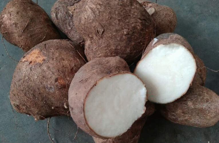 Uwi dan Peta Pangan Nusantara yang Terlupakan