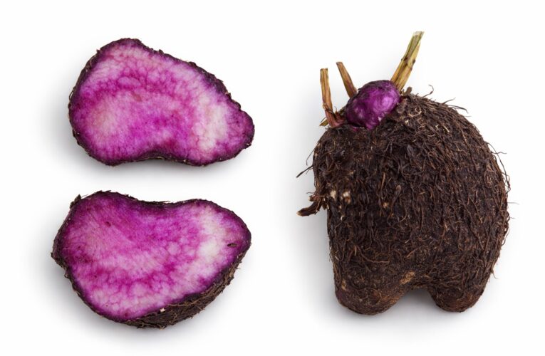 Uwi Nusantara, Pangan Lokal yang Menjadi Global