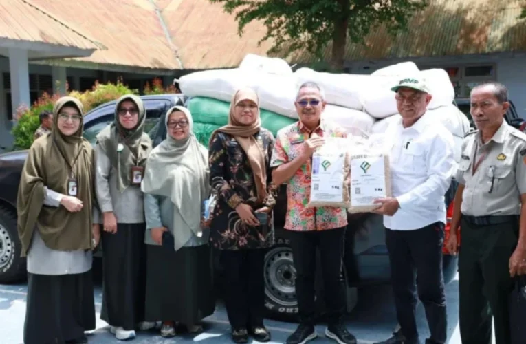 bantuan benih padi bulukumba